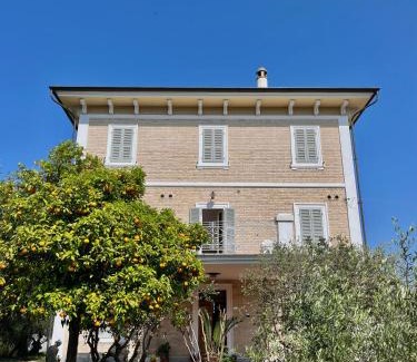 Grottammare Cama Y Desayuno | Villa Francesca Luxury