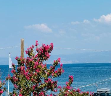 Thasos Town Casa | Villa Garden
