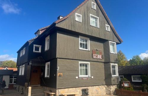 Braunlage Casa | Villa Gesine