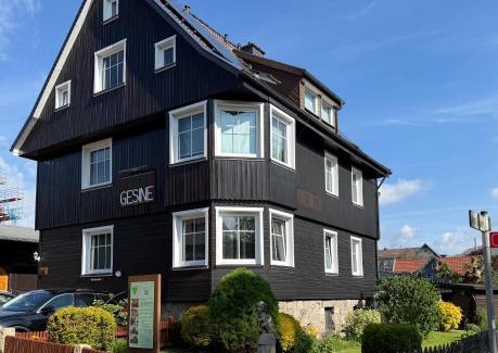 Braunlage Apartamento | Villa Gesine FeWo plus