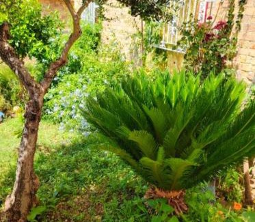 Spoltore Apartamento | Villa GIANNA
