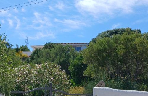 Cugnana Verde Apartamento | Villa Ginepro