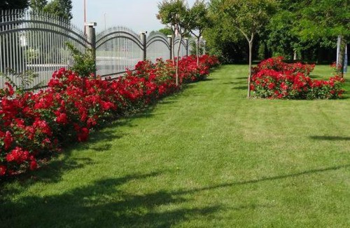 Quartiere Cervese Nord Cama Y Desayuno | Villa Giusy B&B