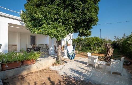 Il Monte Casa | Villa Grazia
