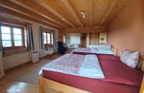 Loffingen Cama Y Desayuno | Villa Grenzenlos