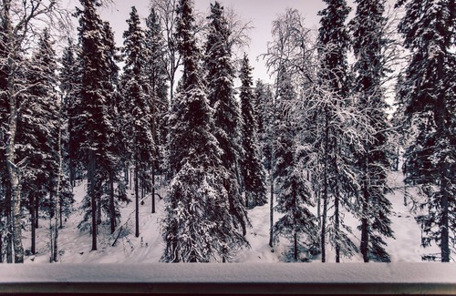 Rovaniemi Apartamento | Villa Happy Fox