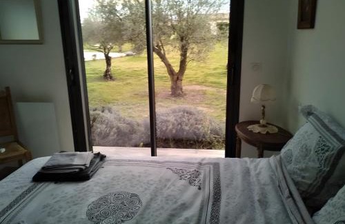 Aleria Cama Y Desayuno | Villa Helychrisa