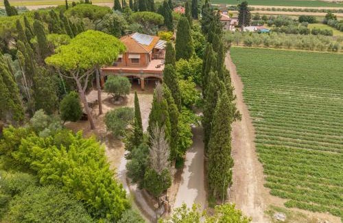 Campiglia Marittima Apartamento | Villa I Tigli