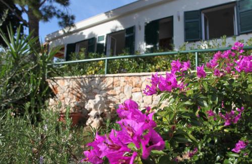 Milna (Brac) Villa | Villa Ida