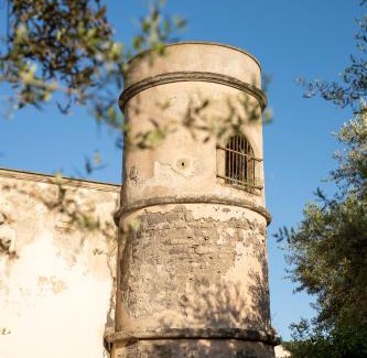 Schiazzano Cama Y Desayuno | Villa il Turro