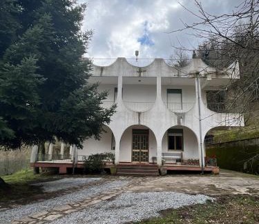 Raccuja Cama Y Desayuno | Villa il Vecchio Abete