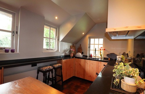 Rheezerveen Villa | Villa en Ommen con estanque privado