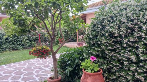 Parga Apartamento | Villa Ioannidis