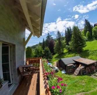 Janske Lazne Casa | Villa Jana