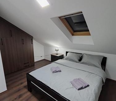 Banja Koviljaca Apartamento | Villa Jelena