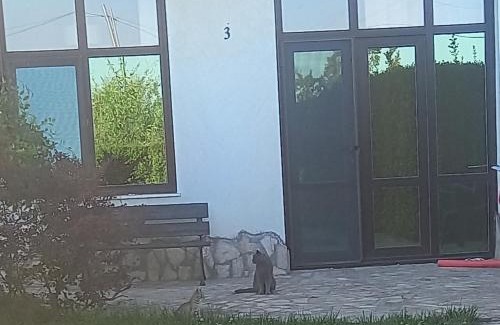 Bliznatsi Apartamento | Villa Ketli Apartment