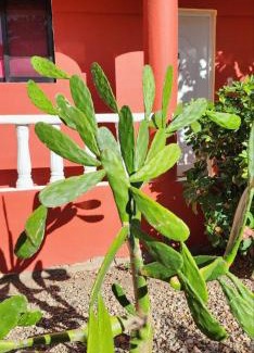 Punta Rucia Casa | Villa KIKI Ensenada