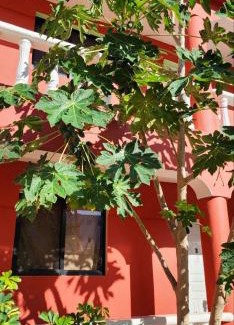 Punta Rucia Casa | Villa KIKI Ensenada