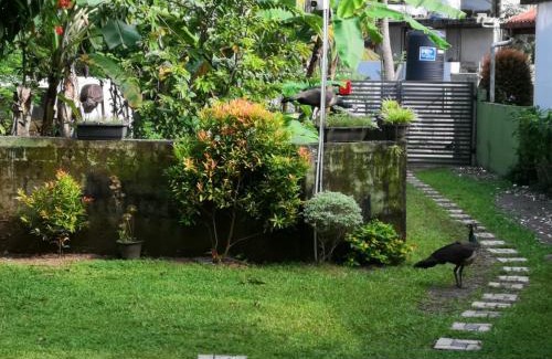 Thiranagama Casa | Villa Kivi