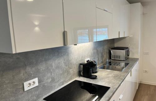 Ljubljana Apartamento | Villa Kovačeva apartments, Marice Kovačeve 15, app 1, free parking