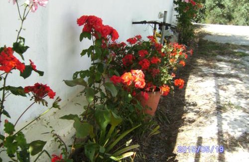 Skiathos Town Apartamento | Villa Krini