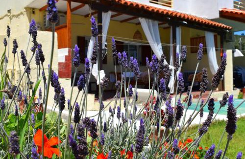 Skiathos Town Apartamento | Villa Krini