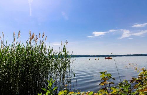Bad Saarow Apartamento | Villa Kurpark Bad Saarow