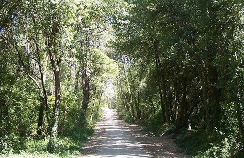 Fromentine Casa | Casa La Barre-de-Monts, 2 dormitorios, 5 personas