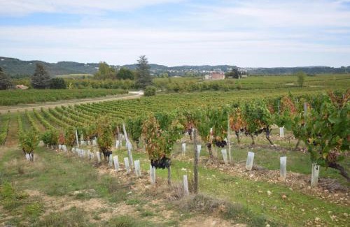Vire-sur-Lot Casa | Villa la Fontaine