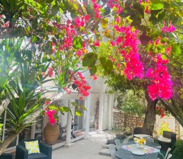 Marina Piccola Apartamento | Villa La Perla Capri