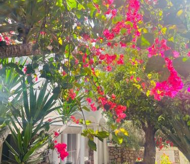 Marina Piccola Apartamento | Villa La Perla Capri