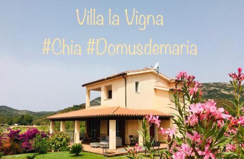Domus de Maria Villa | Villa La Vigna