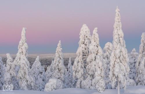 Rovaniemi Apartamento | Villa Laakso