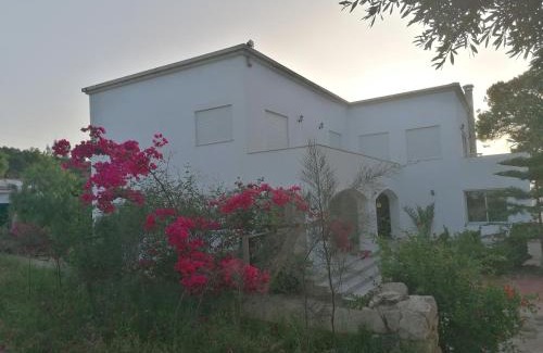 Bizerte Villa | Villa Lallazohra