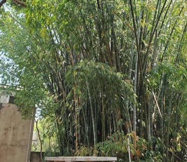 Ambohibao Casa | Villa Landy