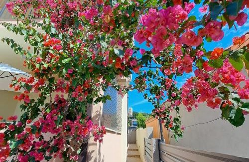 Rudine Villa | Villa Lilly