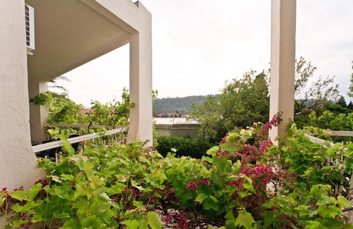 Sutomore Casa | Villa Lotos