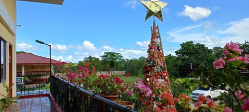 Panglao Hotel | Villa Lourdes Resort