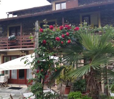 Carciano Apartamento | Villa Lucciola