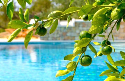 Bol Casa | Villa Lucija Bol