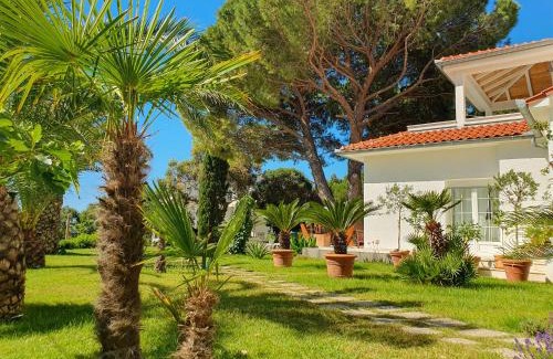 Suha Punta Apartamento | Villa Lucija