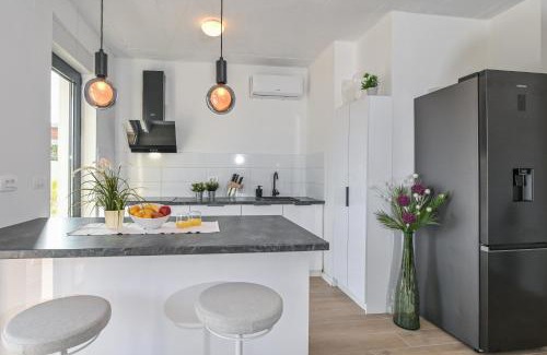 Zrce Villa | Villa Lunika with Private pool