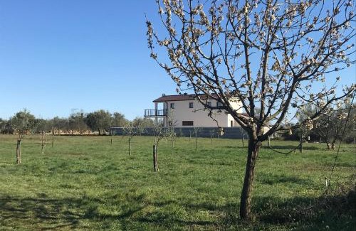 Loborika Villa | Villa Lydia