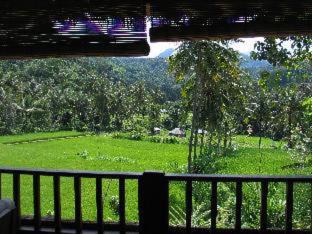 Sawan Casa | Villa Manuk