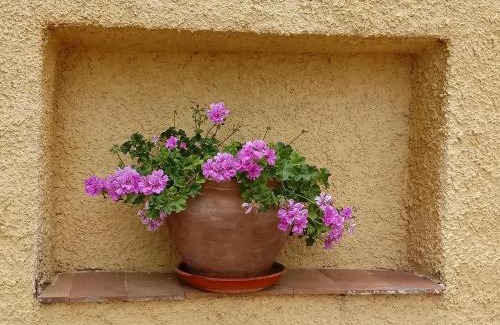 Yecla Casa | VILLA MARÍA