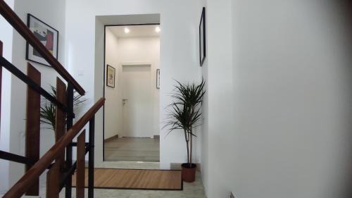 Marotta Apartamento | VILLA MARIANNA