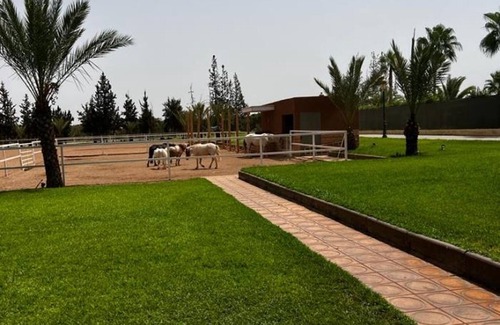 El Aggada Villa | Villa Marrakesh, 3 bedrooms, 6 persons