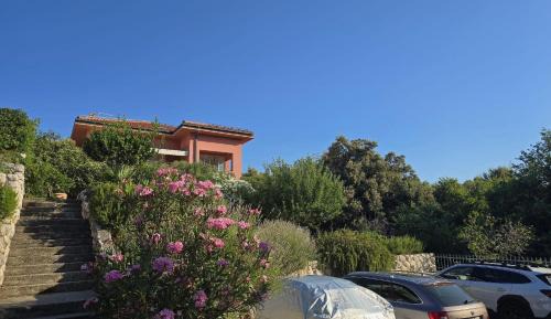 Suha Punta Apartamento | Villa Matovica
