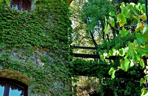 Agios Markos Villa | Villa Melolia