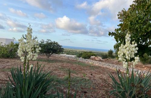 Ostuni Casa | Villa Mimì